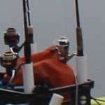 fishing reels