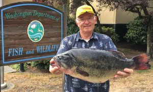 washington state record largemouth bass