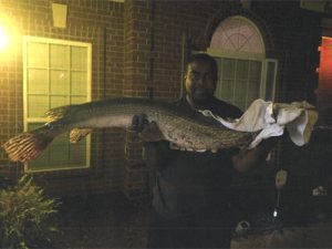 Mississippi State Record - World Record Longnose Gar