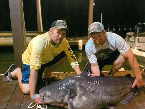 121-pound nc state record blue catfish Lake Gaston