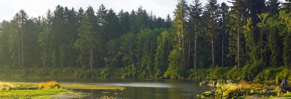 pacific northwest river