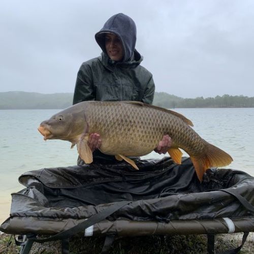 WV State Record Carp – Blue Catfish Caught in May – Freshwater