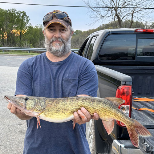 West Virginia State Record Chain Pickerel